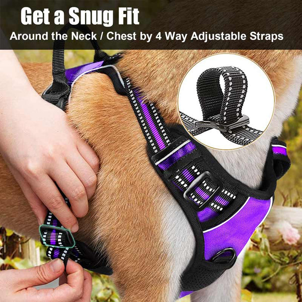 MerryBIY No Pull Dog Harness & Leash