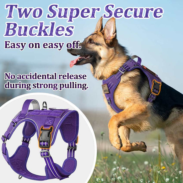 Purple Tactical Dog Harness