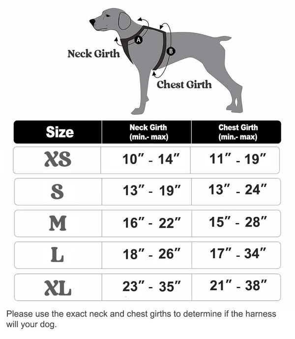 MerryBIY No Pull Dog Harness & Leash