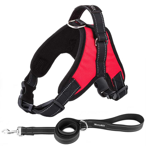 Red dog harness