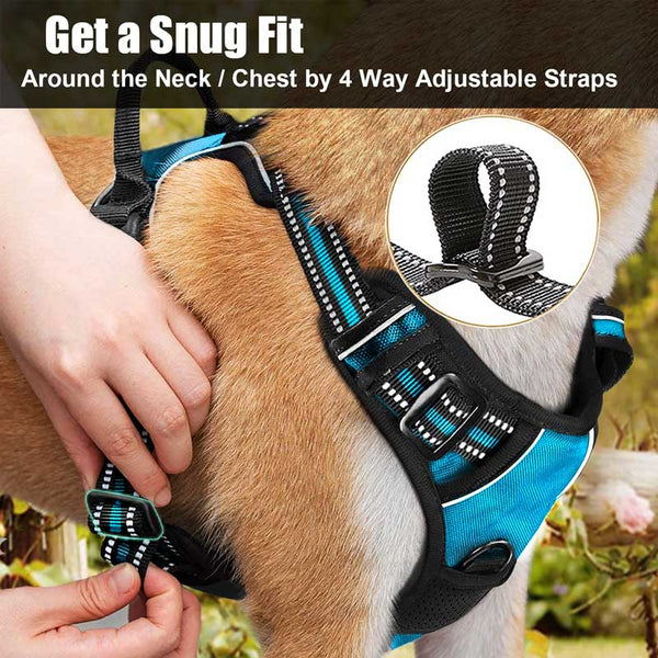 MerryBIY No Pull Dog Harness & Leash