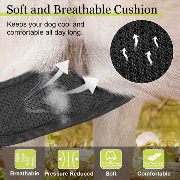 MerryBIY No Pull Dog Harness & Leash