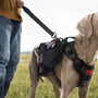 Black Tactical Dog Harness