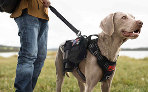 Black Tactical Dog Harness