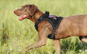 Black Tactical Dog Harness