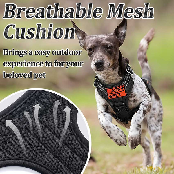 Black Tactical Dog Harness