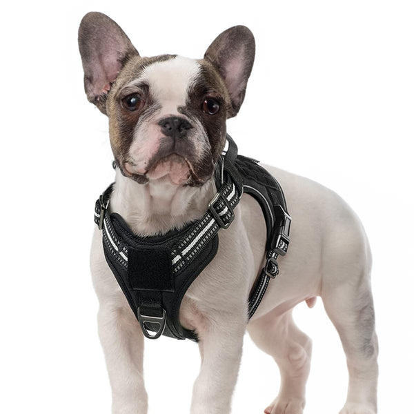 Black Tactical Dog Harness