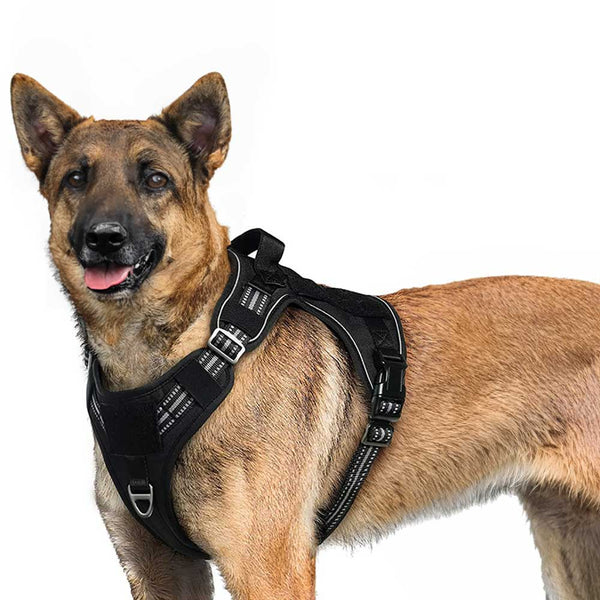 Black Tactical Dog Harness