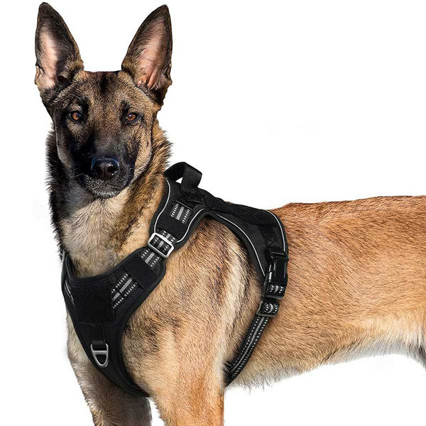 Black Tactical Dog Harness
