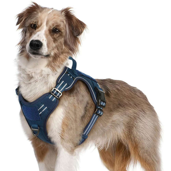 Blue Tactical Dog Harness