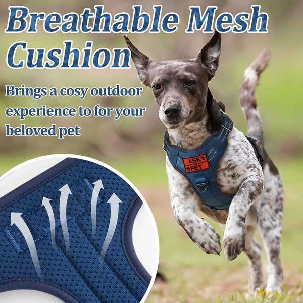 Blue Tactical Dog Harness