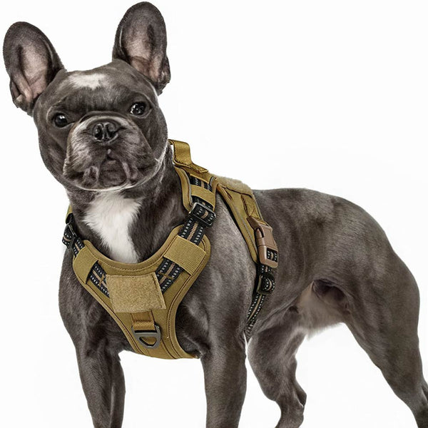 Brown Tactical Dog Harness