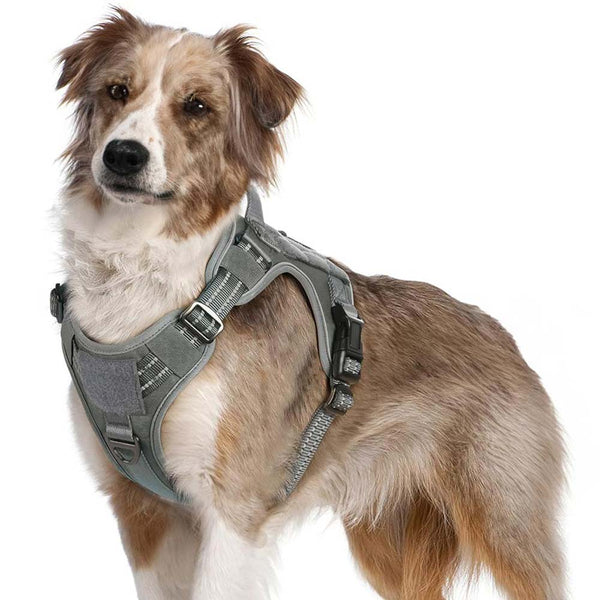 Grey Tactical Dog Harness