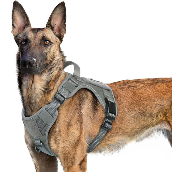 Grey Tactical Dog Harness