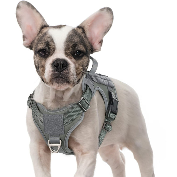 Black Tactical Dog Harness