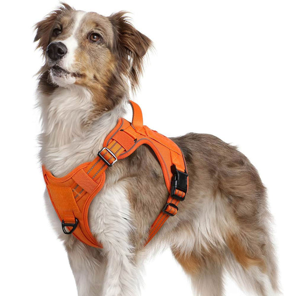Orange Tactical Dog Harness