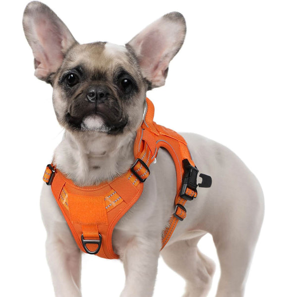 Orange Tactical Dog Harness