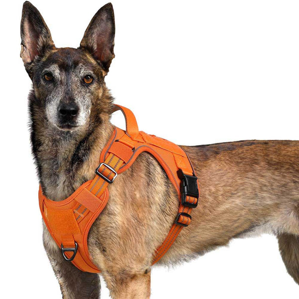 Orange Tactical Dog Harness