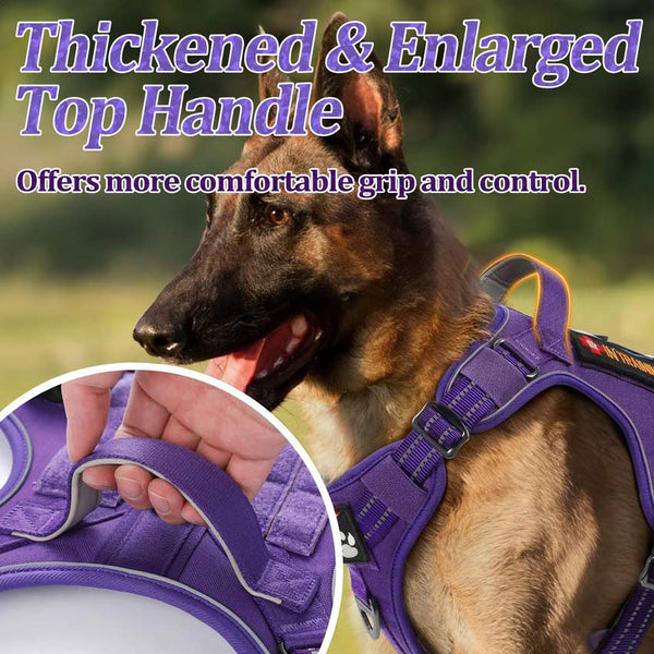 Purple Tactical Dog Harness