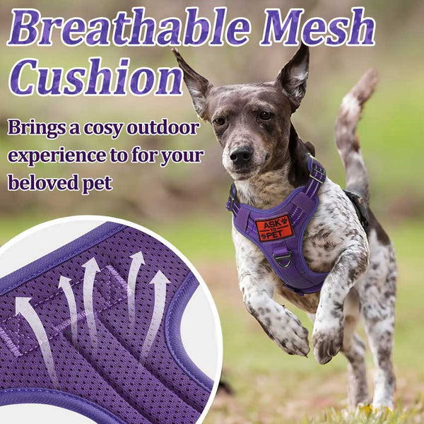 Purple Tactical Dog Harness