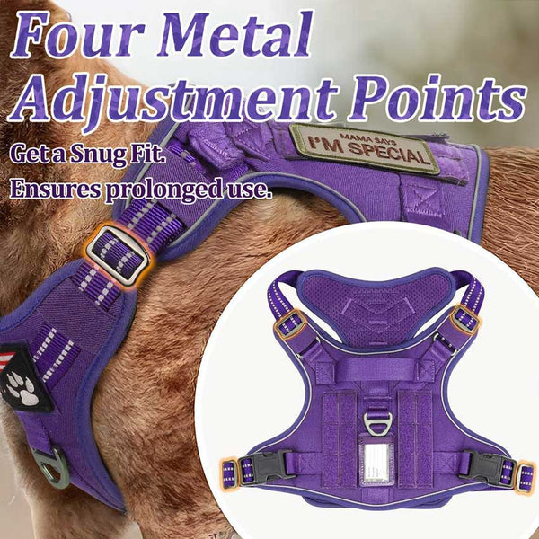 Purple Tactical Dog Harness