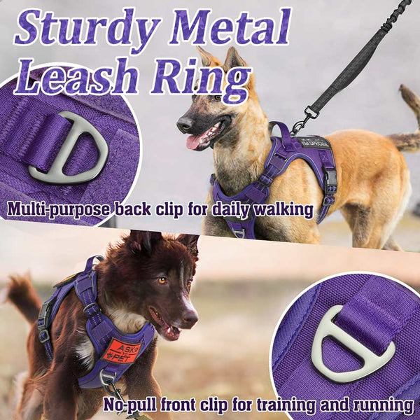 Purple Tactical Dog Harness