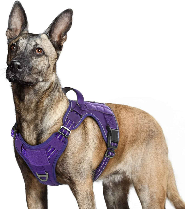 Purple Tactical Dog Harness
