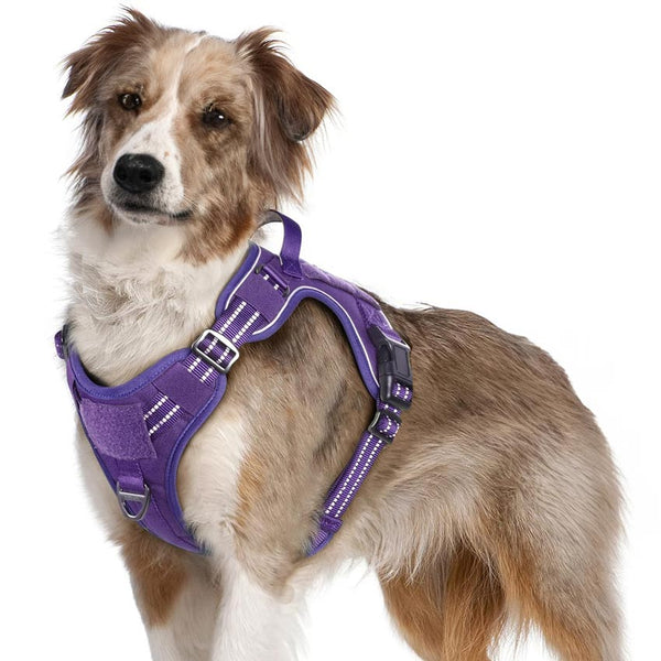 Purple Tactical Dog Harness
