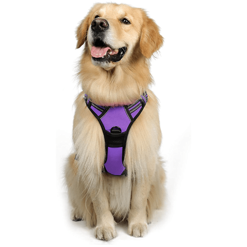 MerryBIY No Pull Dog Harness & Leash