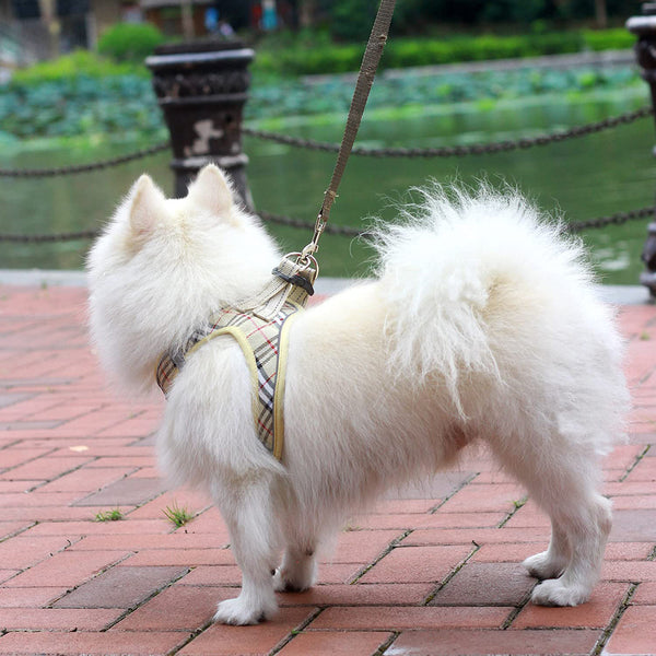 MerryBIY Dog Harness and Lead Set, Step-in Breathable Reflective Puppy Cat Dog Vest for Small Medium Dogs