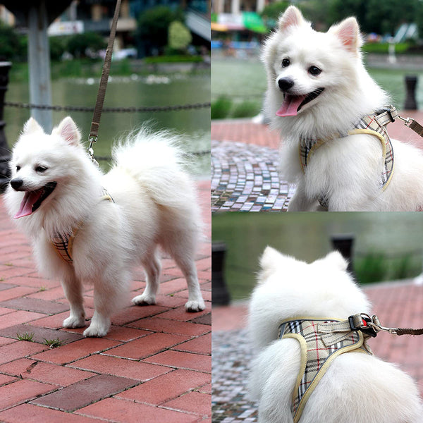 MerryBIY Dog Harness and Lead Set, Step-in Breathable Reflective Puppy Cat Dog Vest for Small Medium Dogs