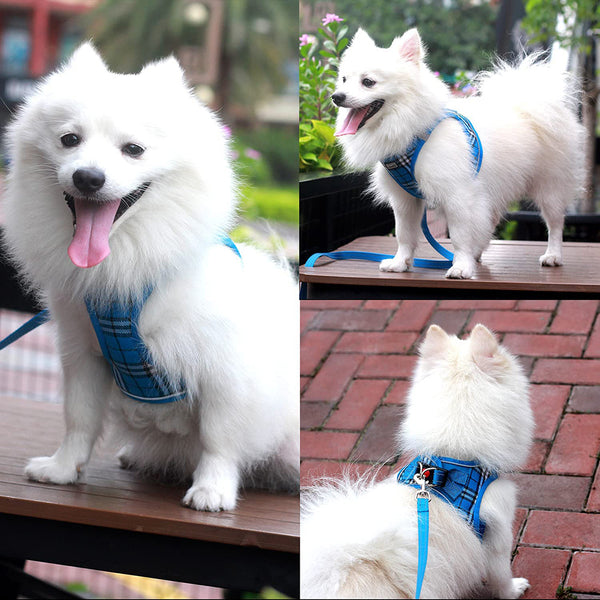 MerryBIY Dog Harness and Lead Set, Step-in Breathable Reflective Puppy Cat Dog Vest for Small Medium Dogs