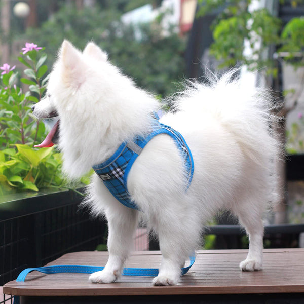 MerryBIY Dog Harness and Lead Set, Step-in Breathable Reflective Puppy Cat Dog Vest for Small Medium Dogs