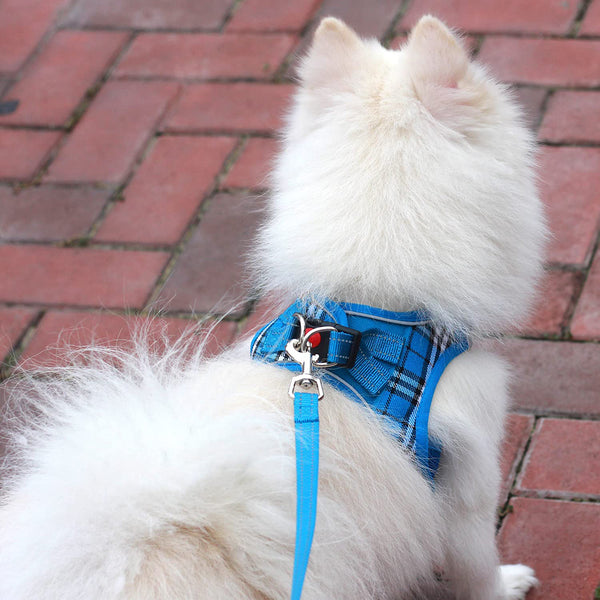 MerryBIY Dog Harness and Lead Set, Step-in Breathable Reflective Puppy Cat Dog Vest for Small Medium Dogs
