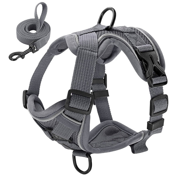 MerryBIY No Pull Small Cat Dog Harness and Leash Set, Soft Mesh Padded Puppy Harness
