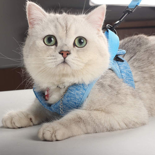 MerryBIY Cat Harness and Leash - Ultra Light Escape Proof Kitten Puppy Collar Cat Walking Jacket