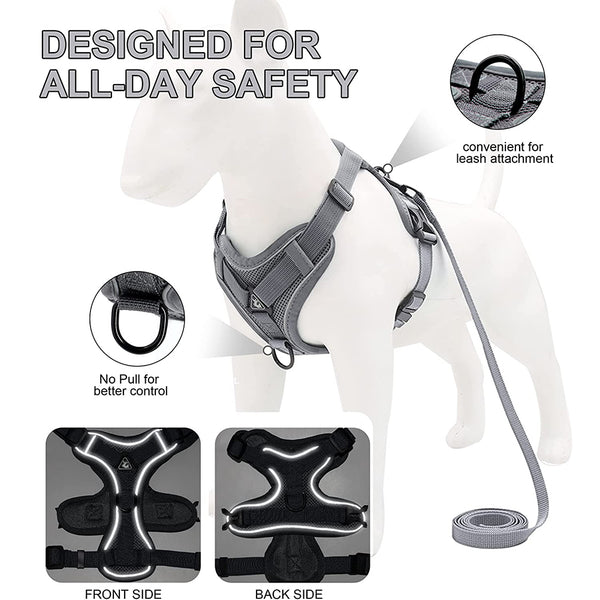 MerryBIY No Pull Small Cat Dog Harness and Leash Set, Soft Mesh Padded Puppy Harness