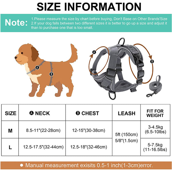 MerryBIY No Pull Small Cat Dog Harness and Leash Set, Soft Mesh Padded Puppy Harness