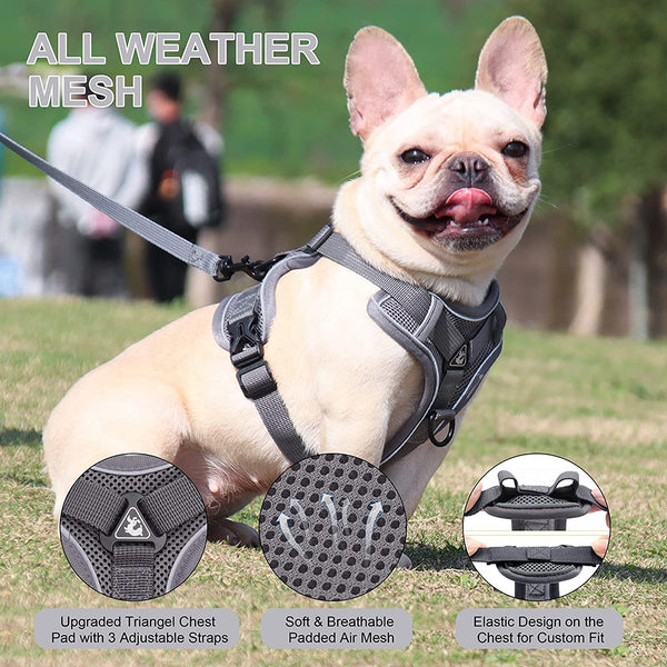 MerryBIY No Pull Small Cat Dog Harness and Leash Set, Soft Mesh Padded Puppy Harness