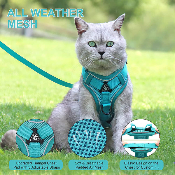 MerryBIY No Pull Small Cat Dog Harness and Leash Set, Soft Mesh Padded Puppy Harness