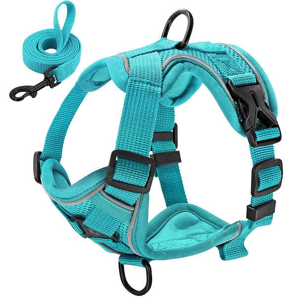 MerryBIY No Pull Small Cat Dog Harness and Leash Set, Soft Mesh Padded Puppy Harness