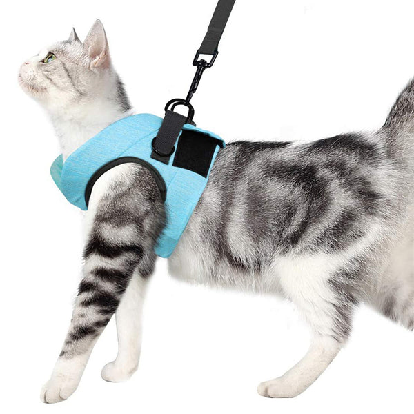 MerryBIY Cat Harness and Leash - Ultra Light Escape Proof Kitten Puppy Collar Cat Walking Jacket