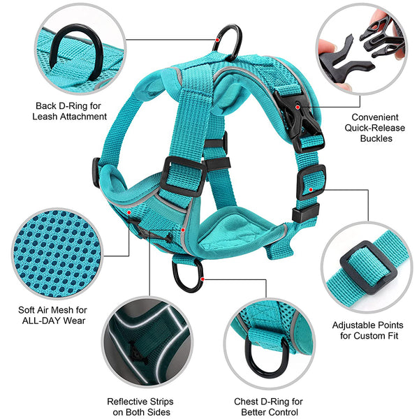 MerryBIY No Pull Small Cat Dog Harness and Leash Set, Soft Mesh Padded Puppy Harness