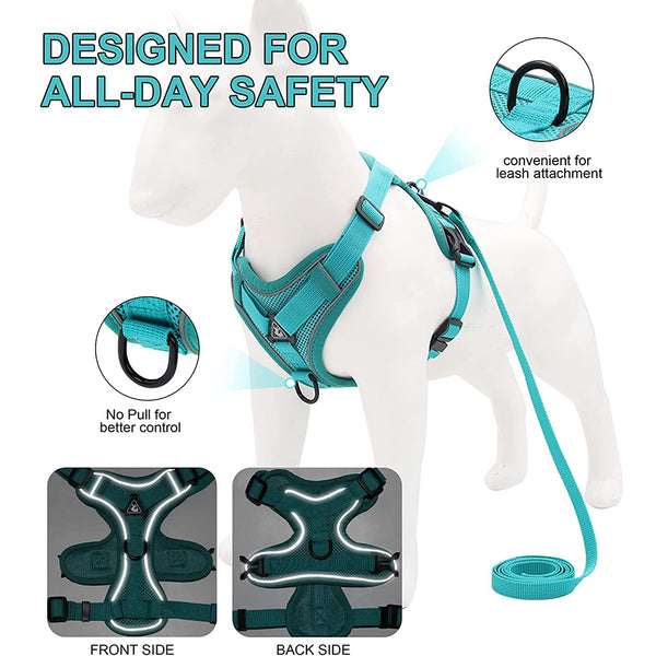 MerryBIY No Pull Small Cat Dog Harness and Leash Set, Soft Mesh Padded Puppy Harness