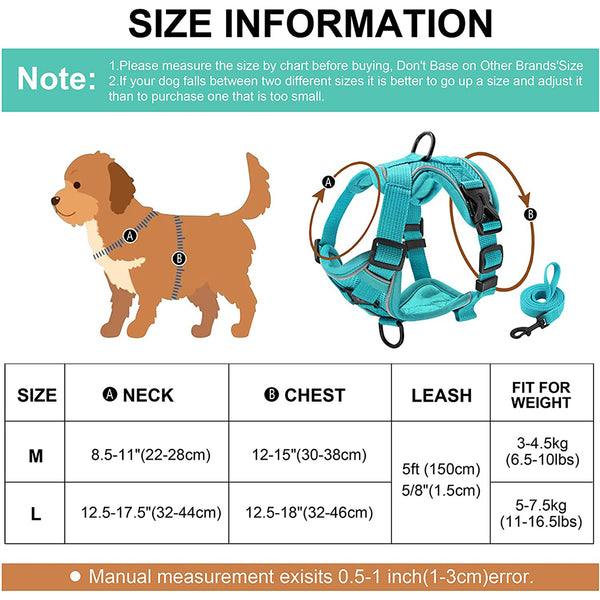 MerryBIY No Pull Small Cat Dog Harness and Leash Set, Soft Mesh Padded Puppy Harness