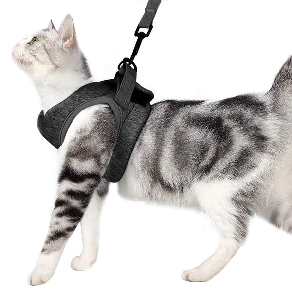 MerryBIY Cat Harness and Leash - Ultra Light Escape Proof Kitten Puppy Collar Cat Walking Jacket