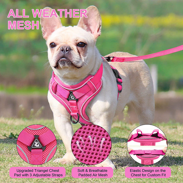 MerryBIY No Pull Small Cat Dog Harness and Leash Set, Soft Mesh Padded Puppy Harness