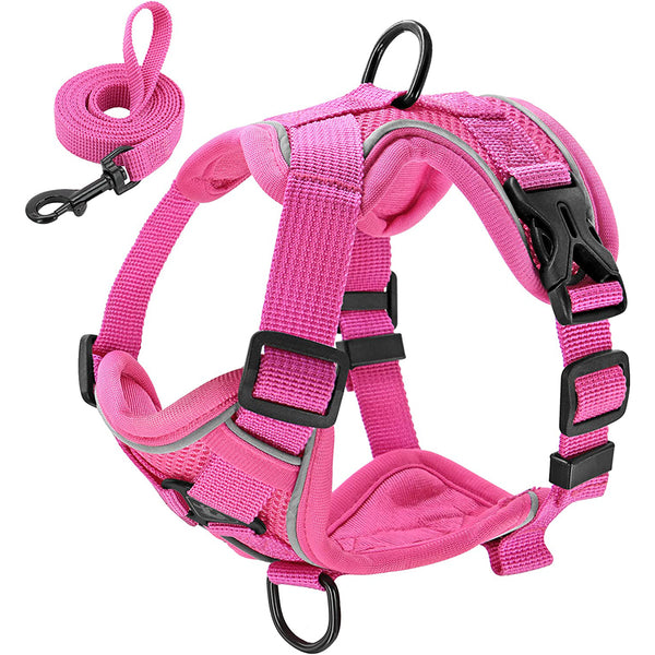MerryBIY No Pull Small Cat Dog Harness and Leash Set, Soft Mesh Padded Puppy Harness
