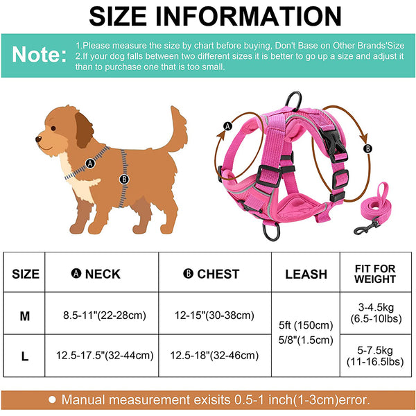 MerryBIY No Pull Small Cat Dog Harness and Leash Set, Soft Mesh Padded Puppy Harness