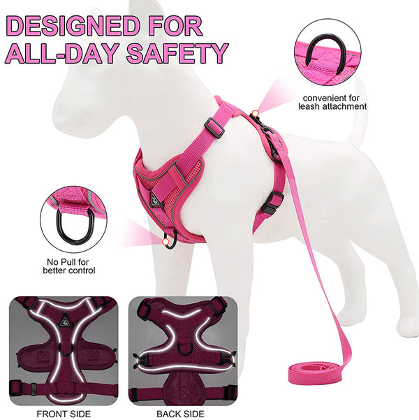 MerryBIY No Pull Small Cat Dog Harness and Leash Set, Soft Mesh Padded Puppy Harness